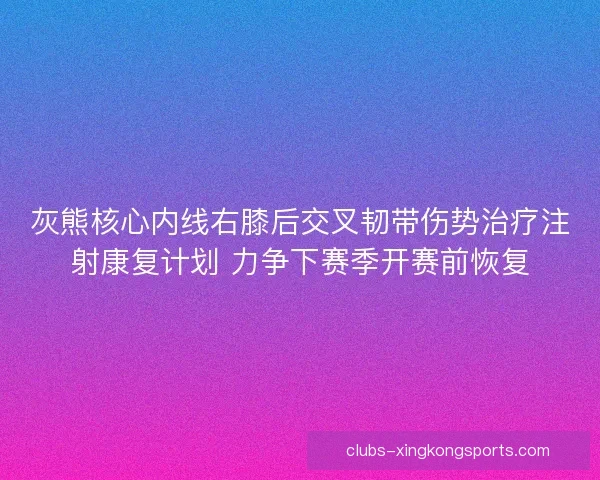 灰熊核心内线右膝后交叉韧带伤势治疗注射康复计划 力争下赛季开赛前恢复